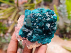 Natural Dioptase On Dolomite Specimens x 6 From Likasi, Congo - Toprock Gemstones and Minerals 