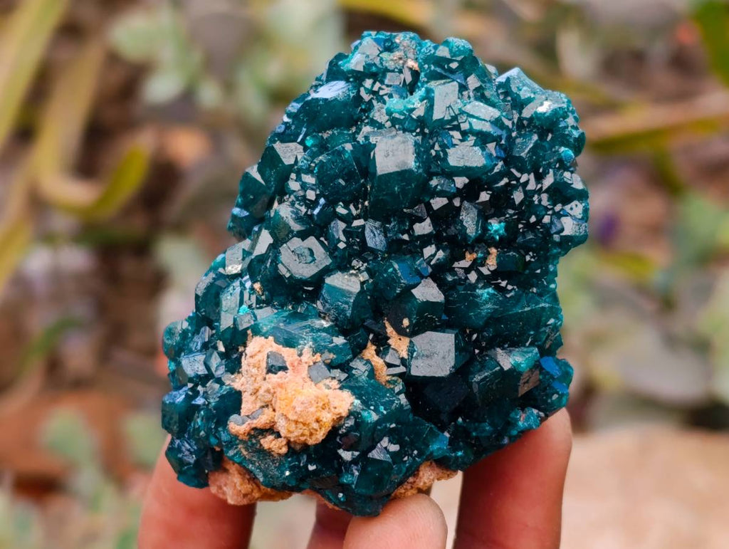 Natural Dioptase On Dolomite Specimens x 6 From Likasi, Congo - Toprock Gemstones and Minerals 