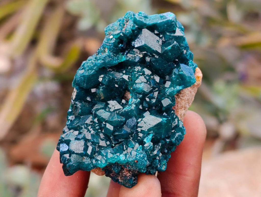 Natural Dioptase On Dolomite Specimens x 6 From Likasi, Congo - Toprock Gemstones and Minerals 