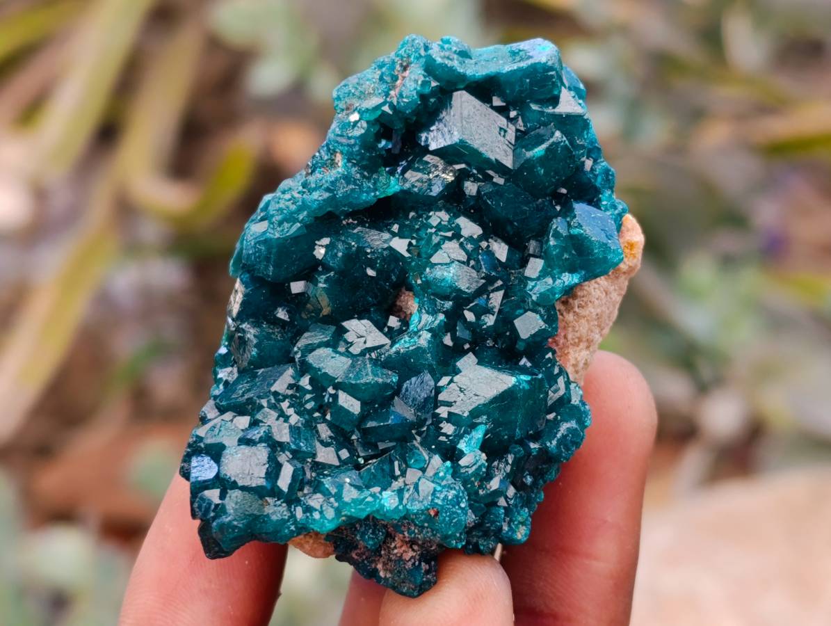 Natural Dioptase On Dolomite Specimens x 6 From Likasi, Congo - Toprock Gemstones and Minerals 
