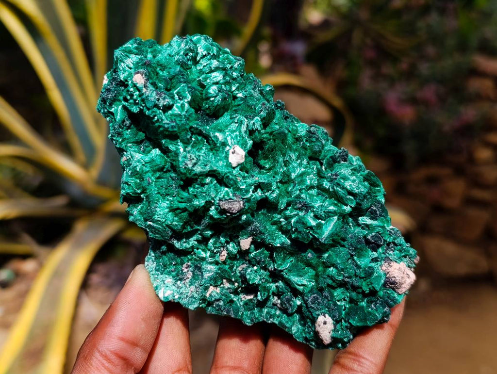 Natural Silky Malachite Specimens x 3 From Kasompe, Congo - Toprock Gemstones and Minerals 