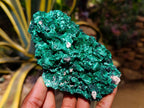Natural Silky Malachite Specimens x 3 From Kasompe, Congo - Toprock Gemstones and Minerals 