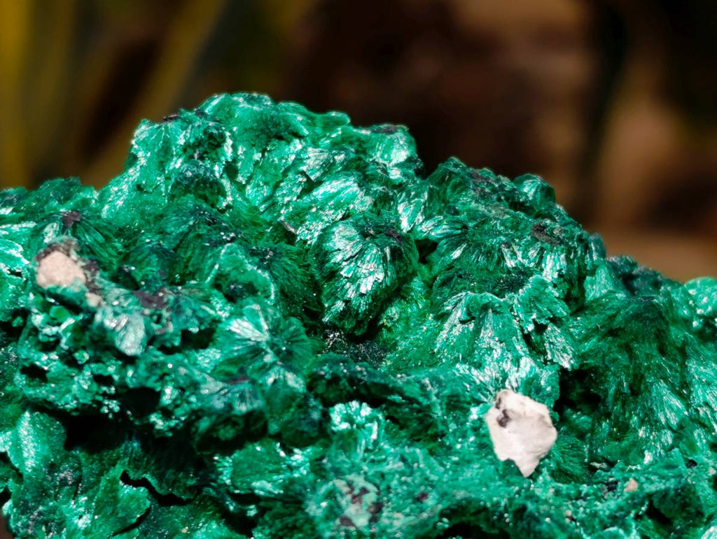 Natural Silky Malachite Specimens x 3 From Kasompe, Congo - Toprock Gemstones and Minerals 