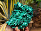 Natural Silky Malachite Specimens x 3 From Kasompe, Congo - Toprock Gemstones and Minerals 