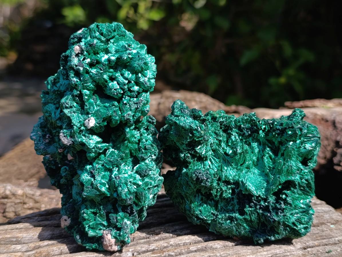 Natural Silky Malachite Specimens x 3 From Kasompe, Congo - Toprock Gemstones and Minerals 