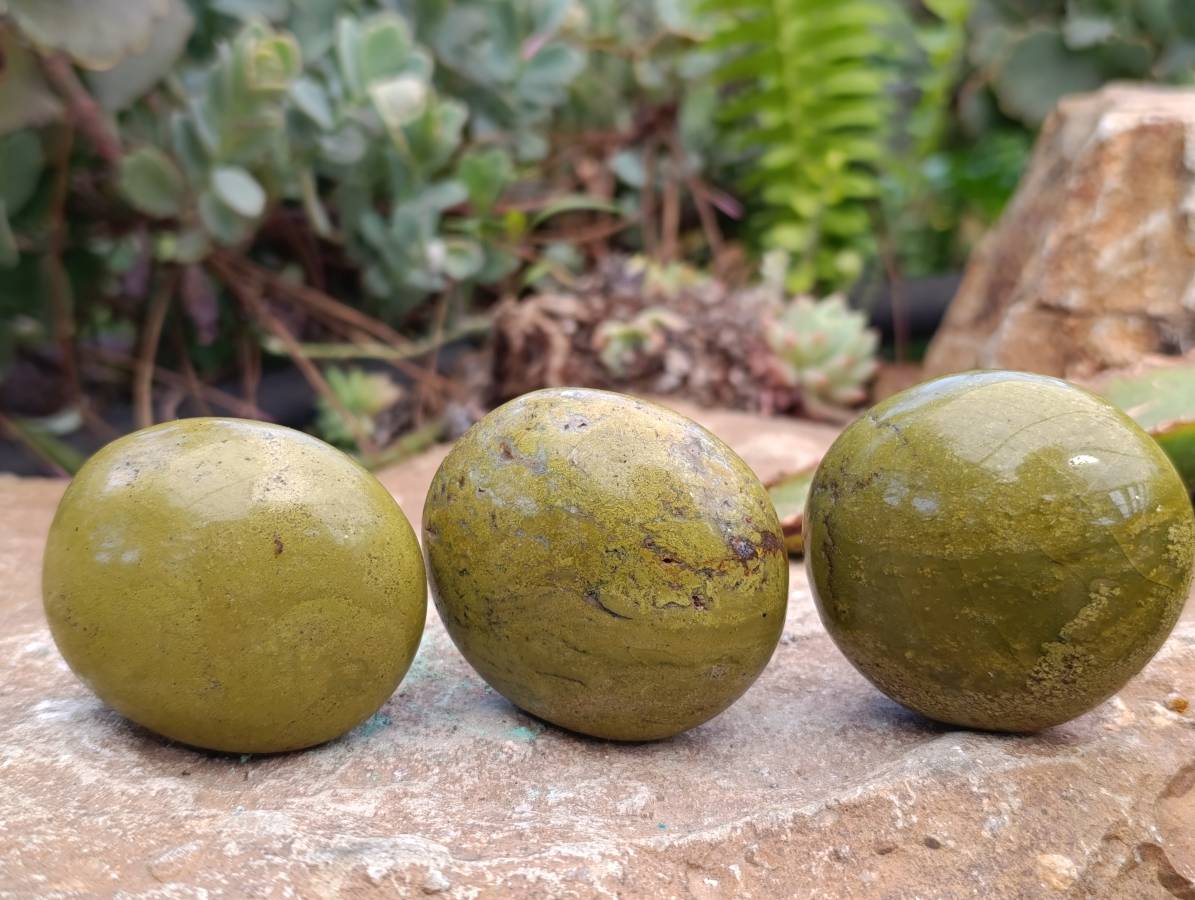 Polished Green Opal Palm Stones x 12 From Antsirabe, Madagascar - Toprock Gemstones and Minerals 