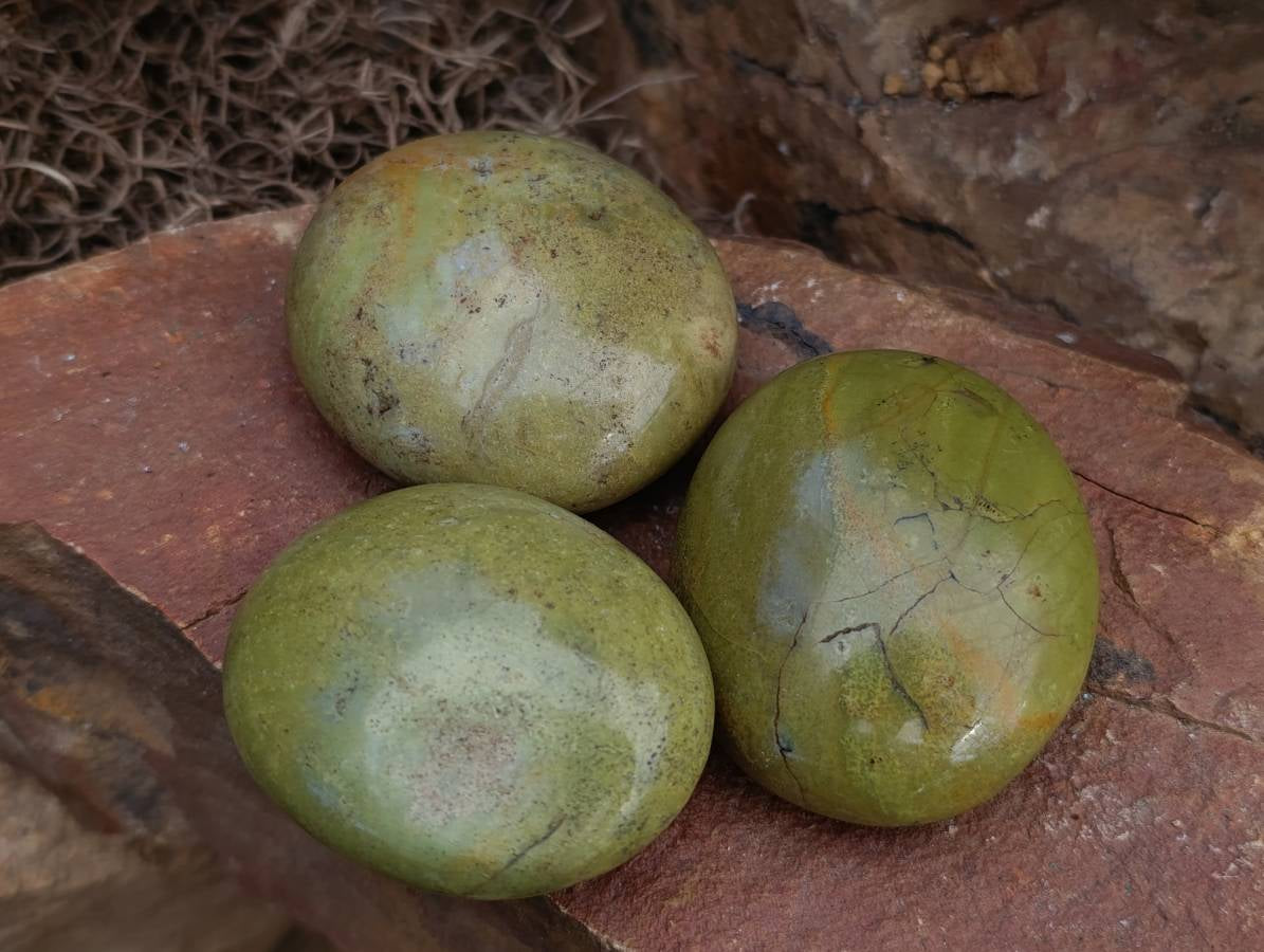 Polished Green Opal Palm Stones x 12 From Antsirabe, Madagascar - Toprock Gemstones and Minerals 