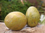 Polished Green Opal Palm Stones x 12 From Antsirabe, Madagascar - Toprock Gemstones and Minerals 