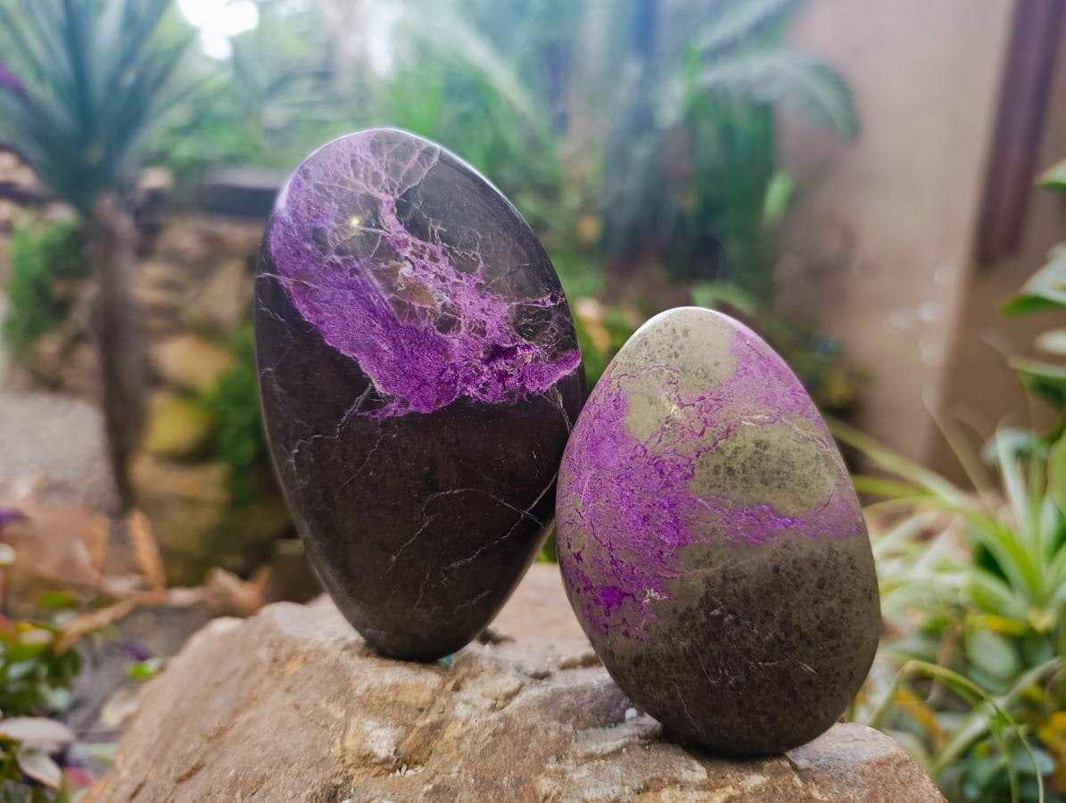 Polished Stichtite Free Forms x 6 From Barberton, South Africa - Toprock Gemstones and Minerals 