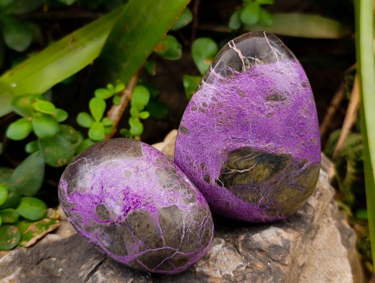 Polished Stichtite Free Forms x 6 From Barberton, South Africa - Toprock Gemstones and Minerals 