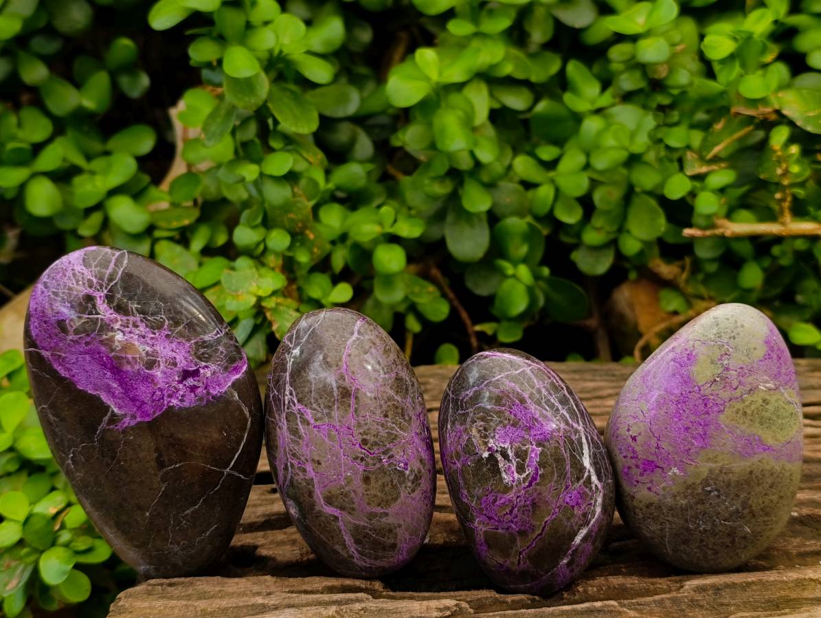 Polished Stichtite Free Forms x 6 From Barberton, South Africa - Toprock Gemstones and Minerals 