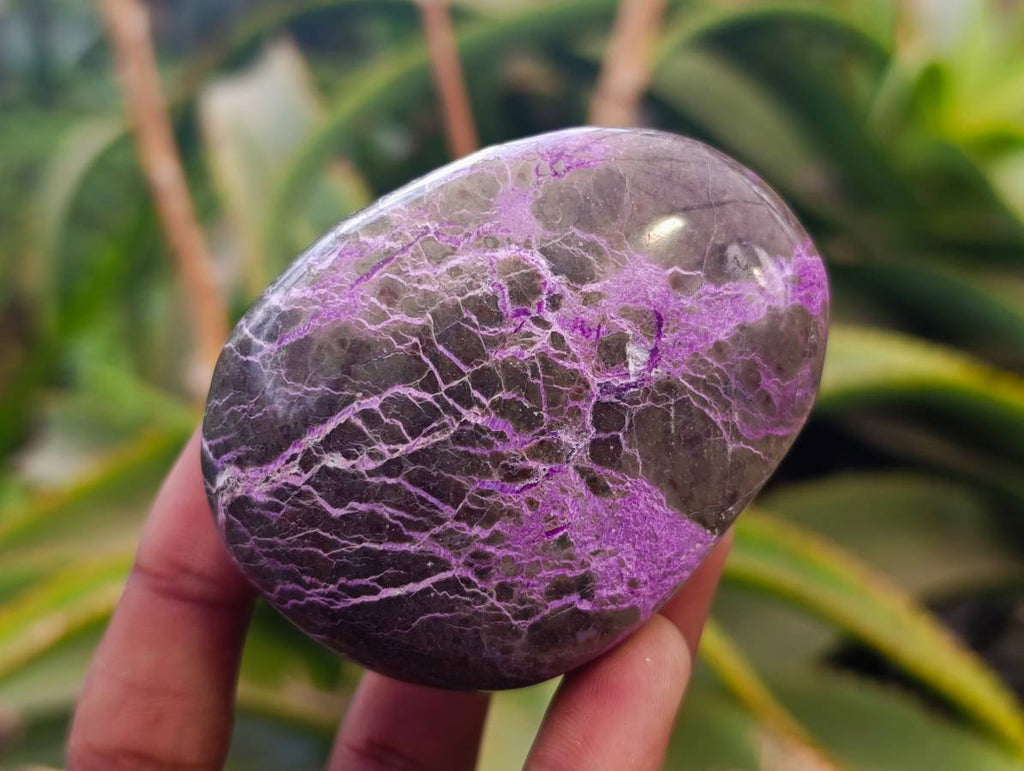 Polished Stichtite Free Forms x 6 From Barberton, South Africa - Toprock Gemstones and Minerals 