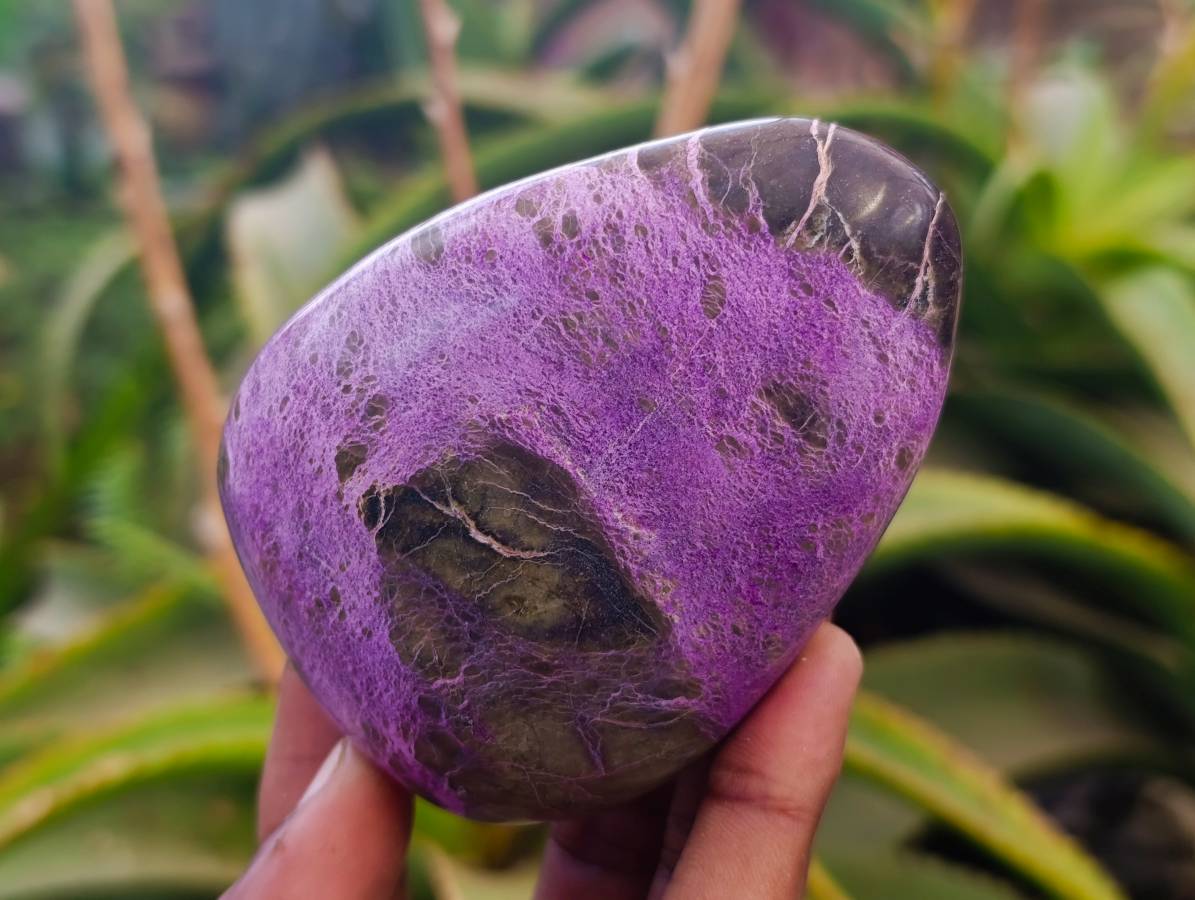 Polished Stichtite Free Forms x 6 From Barberton, South Africa - Toprock Gemstones and Minerals 