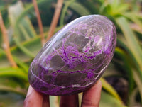 Polished Stichtite Free Forms x 6 From Barberton, South Africa - Toprock Gemstones and Minerals 