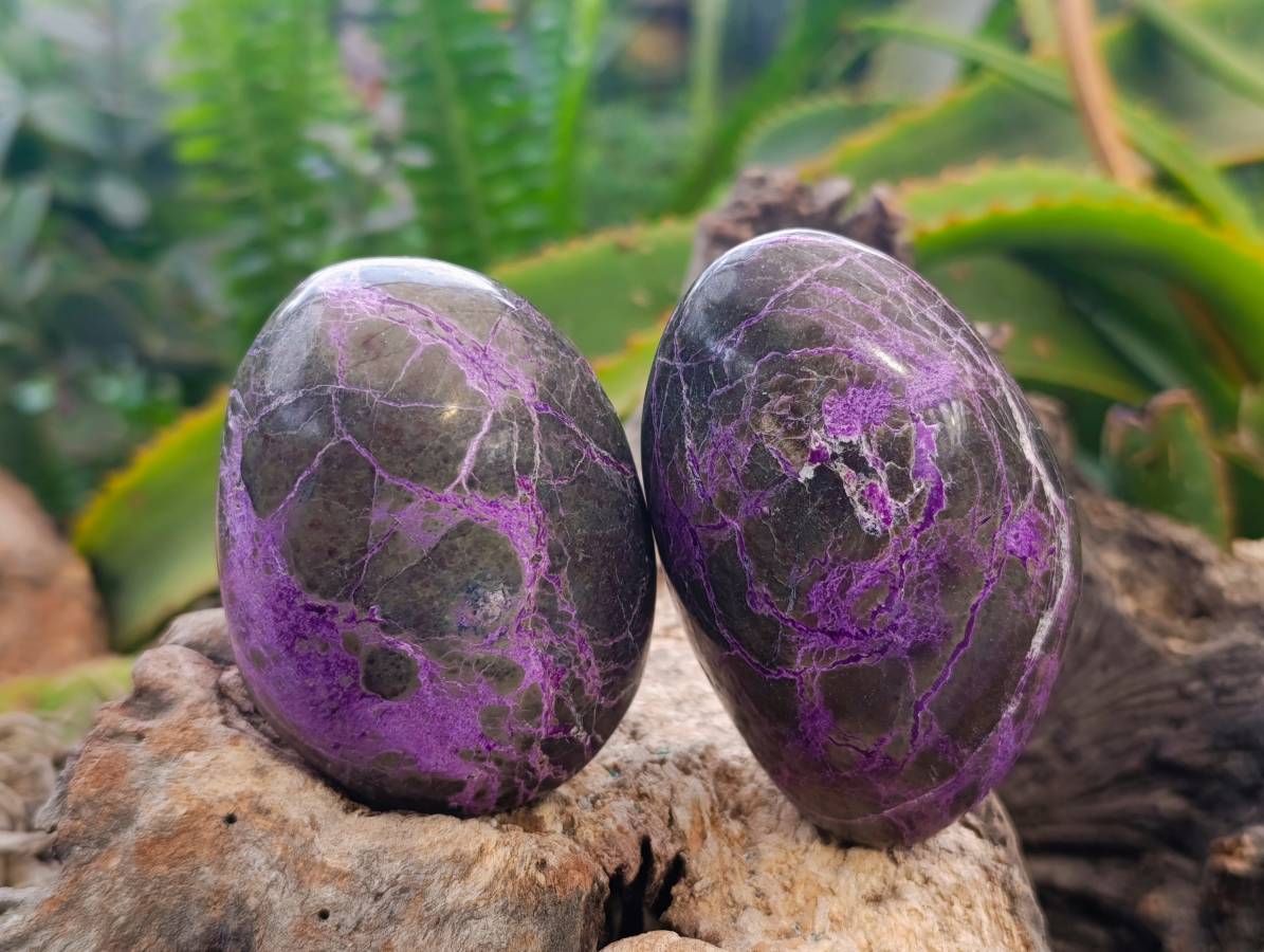 Polished Stichtite Free Forms x 6 From Barberton, South Africa - Toprock Gemstones and Minerals 