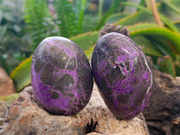 Polished Stichtite Free Forms x 6 From Barberton, South Africa - Toprock Gemstones and Minerals 