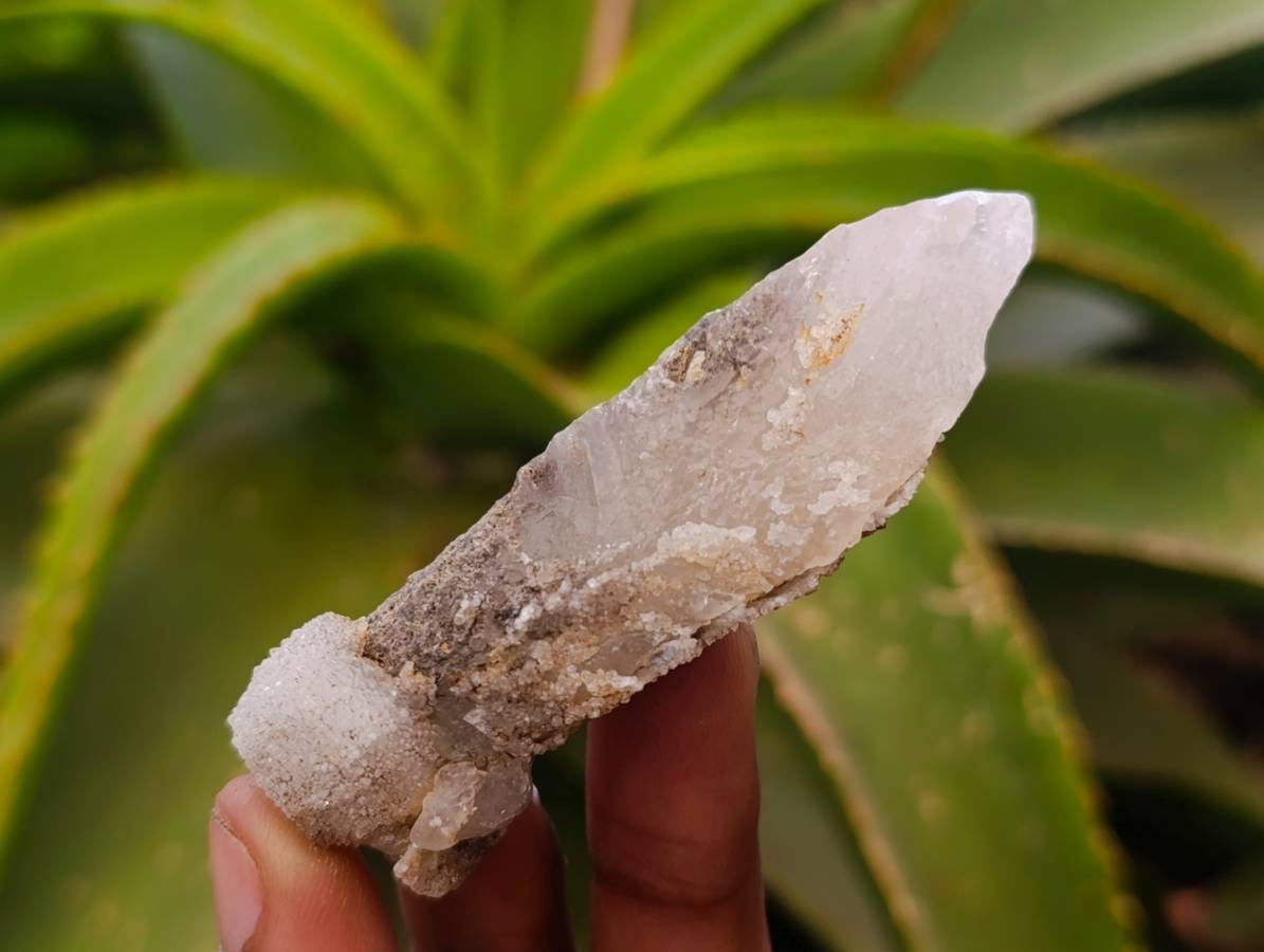 Natural Drusy Quartz Coated Calcite Pseudomorph Specimens x 12 From Alberts Mountain, Lesotho - Toprock Gemstones and Minerals 