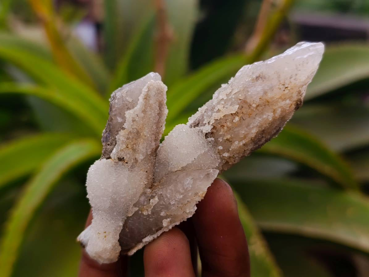 Natural Drusy Quartz Coated Calcite Pseudomorph Specimens x 12 From Alberts Mountain, Lesotho - Toprock Gemstones and Minerals 