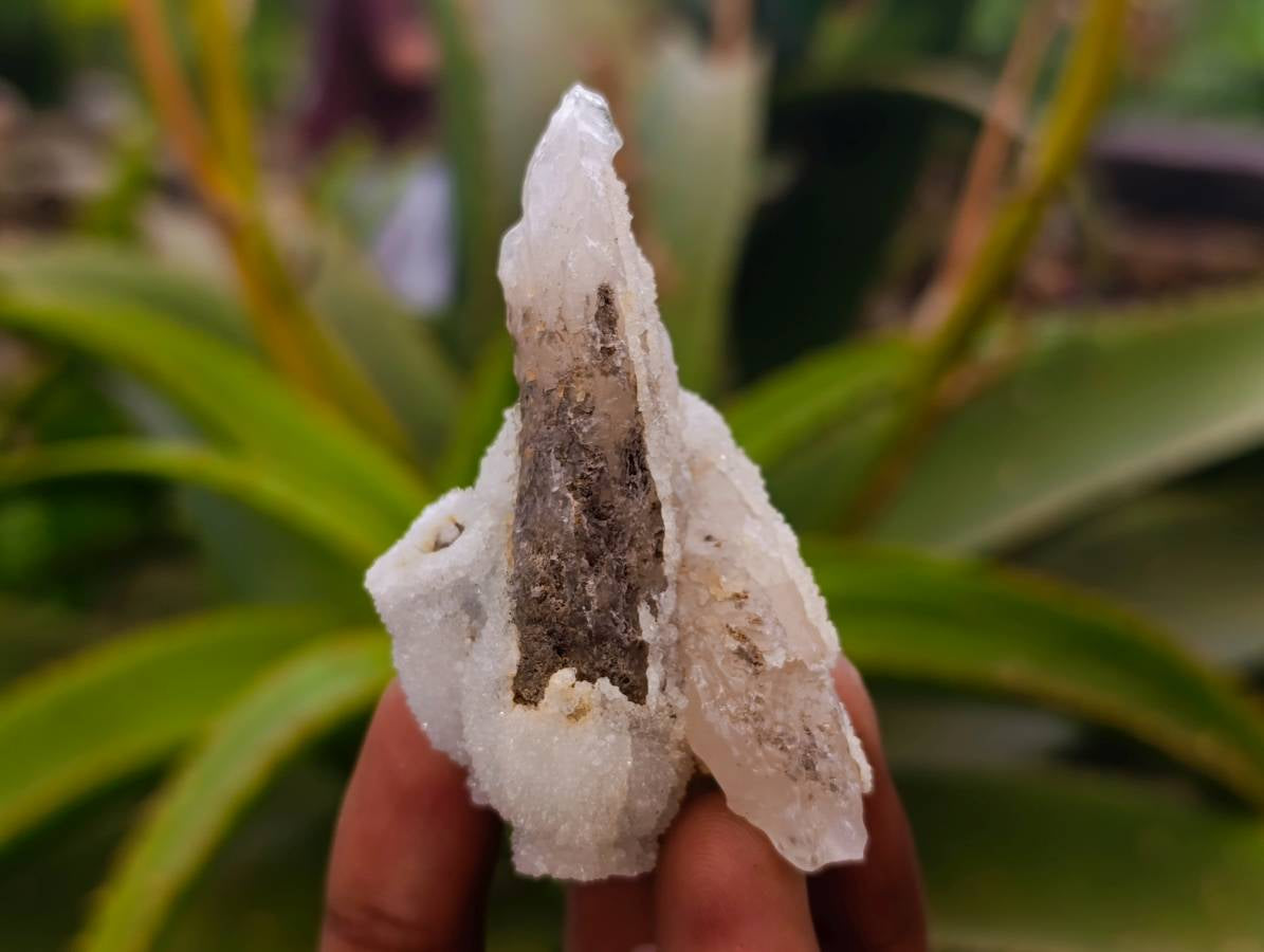 Natural Drusy Quartz Coated Calcite Pseudomorph Specimens x 12 From Alberts Mountain, Lesotho - Toprock Gemstones and Minerals 