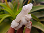 Natural Drusy Quartz Coated Calcite Pseudomorph Specimens x 12 From Alberts Mountain, Lesotho - Toprock Gemstones and Minerals 