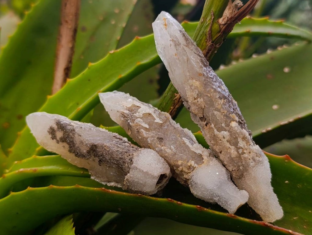 Natural Drusy Quartz Coated Calcite Pseudomorph Specimens x 12 From Alberts Mountain, Lesotho - Toprock Gemstones and Minerals 