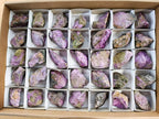 Natural Stichtite Cobbed Specimens x 35 From Barberton, South Africa - Toprock Gemstones and Minerals 