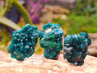 Natural Dioptase On Dolomite Specimens x 20 From Likasi, Congo - Toprock Gemstones and Minerals 
