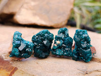 Natural Dioptase On Dolomite Specimens x 20 From Likasi, Congo - Toprock Gemstones and Minerals 