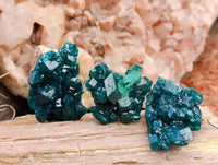 Natural Dioptase On Dolomite Specimens x 20 From Likasi, Congo - Toprock Gemstones and Minerals 