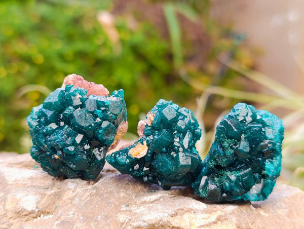 Natural Dioptase On Dolomite Specimens x 20 From Likasi, Congo - Toprock Gemstones and Minerals 
