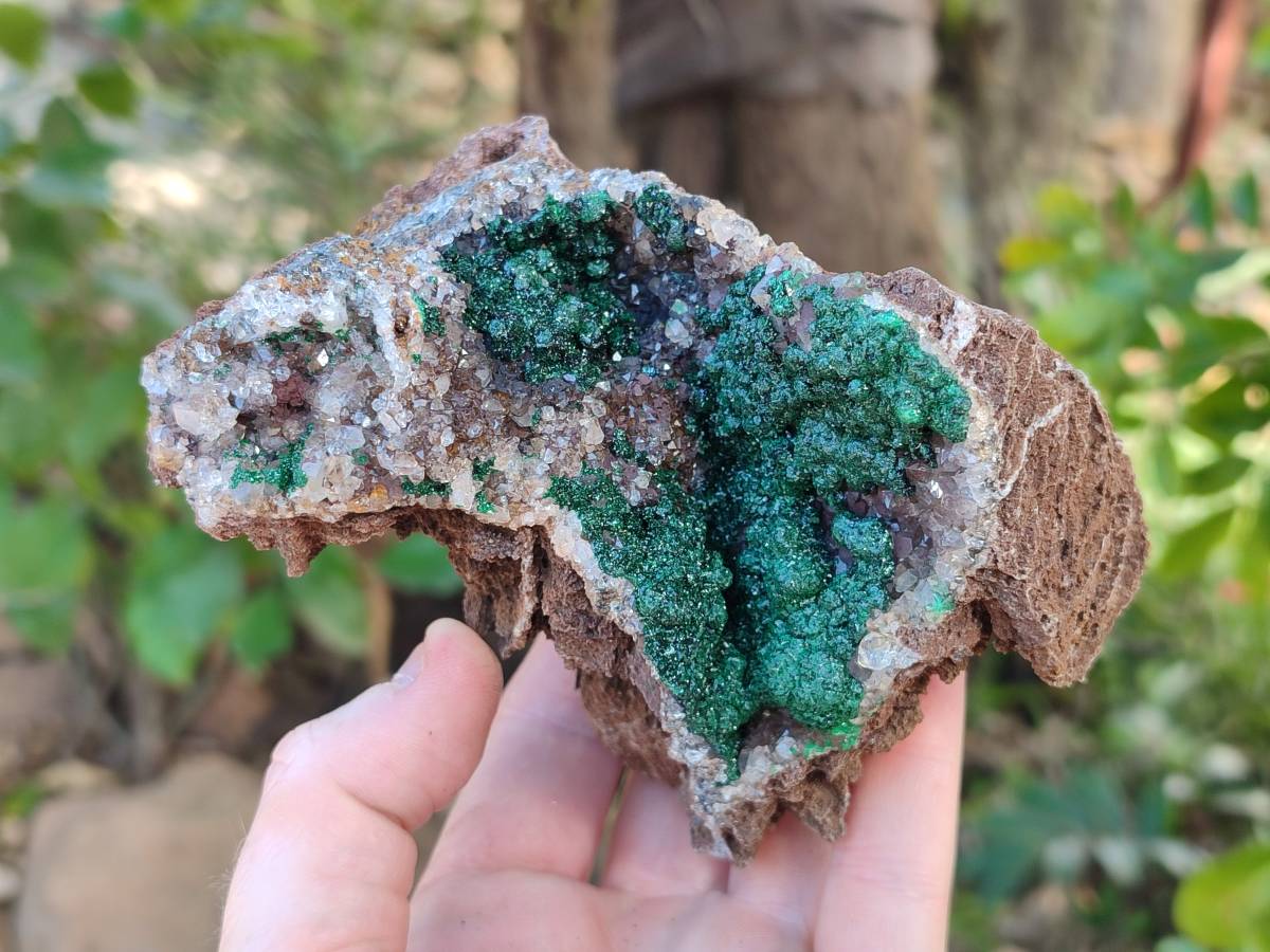 Natural Crystalline Ball Malachite and Drusy Quartz On Dolomite Matrix Specimens x 2 From Kambove, Congo - Toprock Gemstones and Minerals 