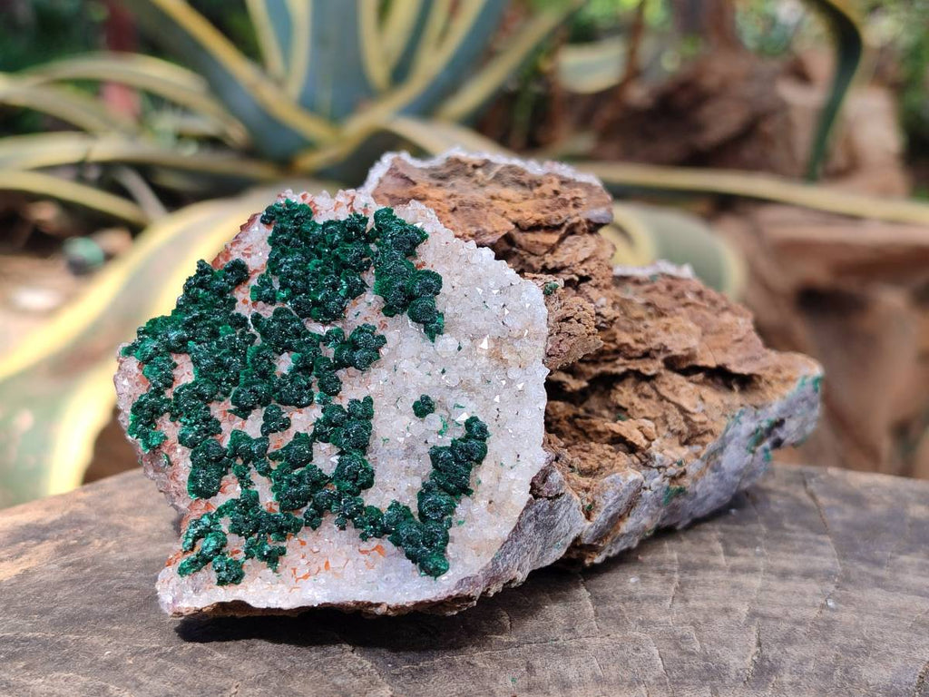 Natural Crystalline Ball Malachite and Drusy Quartz On Dolomite Matrix Specimens x 2 From Kambove, Congo - Toprock Gemstones and Minerals 
