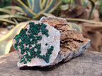 Natural Crystalline Ball Malachite and Drusy Quartz On Dolomite Matrix Specimens x 2 From Kambove, Congo - Toprock Gemstones and Minerals 