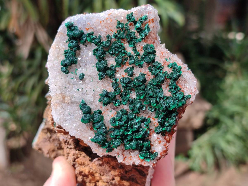 Natural Crystalline Ball Malachite and Drusy Quartz On Dolomite Matrix Specimens x 2 From Kambove, Congo - Toprock Gemstones and Minerals 