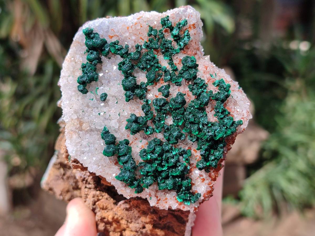 Natural Crystalline Ball Malachite and Drusy Quartz On Dolomite Matrix Specimens x 2 From Kambove, Congo - Toprock Gemstones and Minerals 