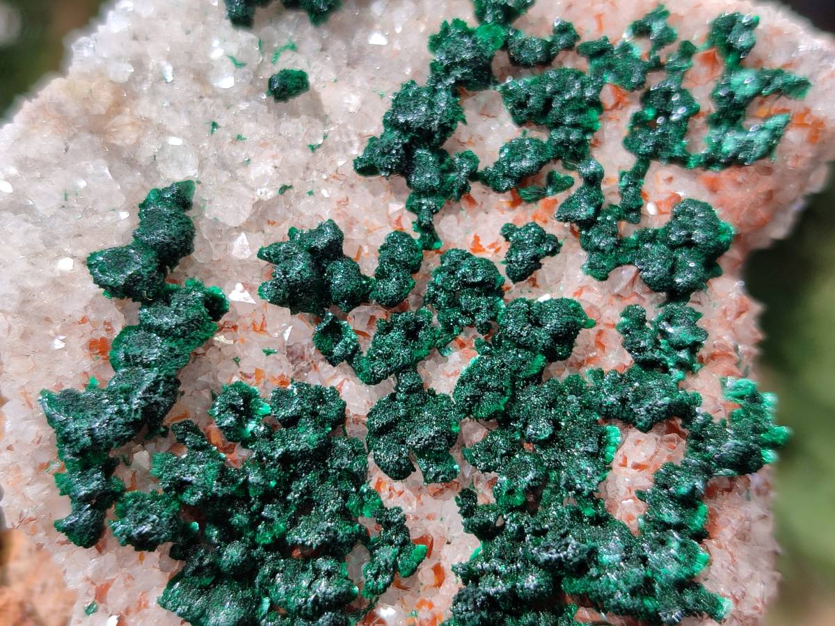 Natural Crystalline Ball Malachite and Drusy Quartz On Dolomite Matrix Specimens x 2 From Kambove, Congo - Toprock Gemstones and Minerals 