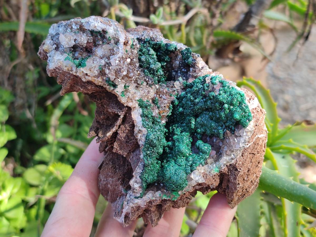 Natural Crystalline Ball Malachite and Drusy Quartz On Dolomite Matrix Specimens x 2 From Kambove, Congo - Toprock Gemstones and Minerals 