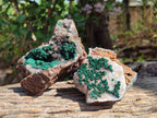 Natural Crystalline Ball Malachite and Drusy Quartz On Dolomite Matrix Specimens x 2 From Kambove, Congo - Toprock Gemstones and Minerals 