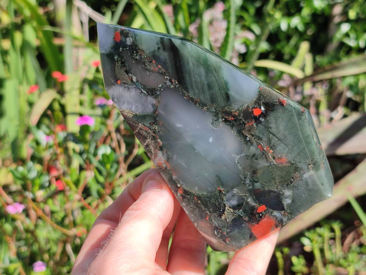 Polished Bloodstone Points x 2 From Swaziland - Toprock Gemstones and Minerals 
