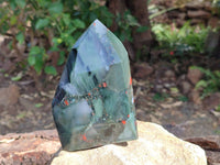Polished Bloodstone Points x 2 From Swaziland - Toprock Gemstones and Minerals 