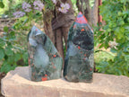 Polished Bloodstone Points x 2 From Swaziland - Toprock Gemstones and Minerals 