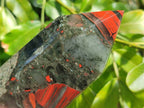 Polished Bloodstone Points x 2 From Swaziland - Toprock Gemstones and Minerals 