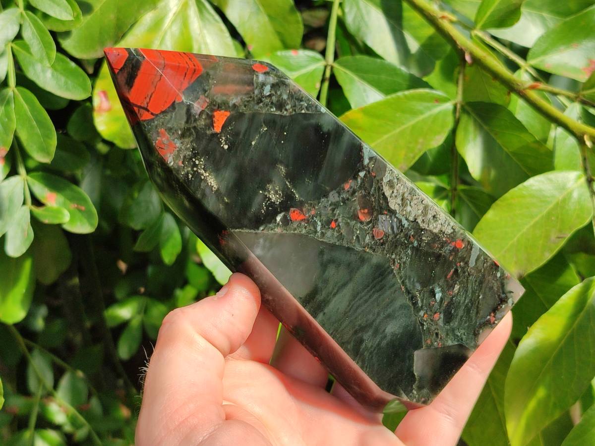 Polished Bloodstone Points x 2 From Swaziland - Toprock Gemstones and Minerals 