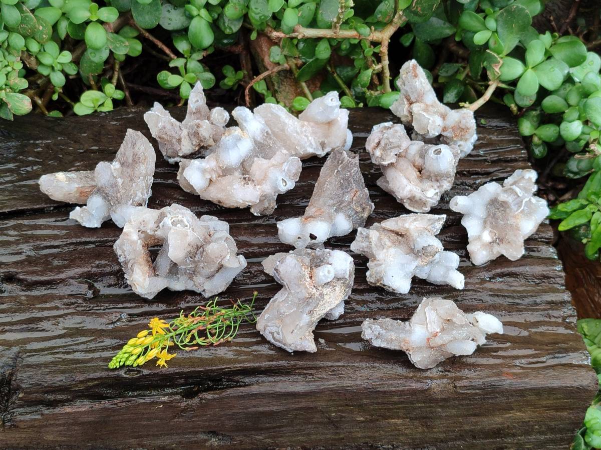 Natural Drusy Quartz Coated Calcite Pseudomorph Specimens x 12 From Alberts Mountain, Lesotho - Toprock Gemstones and Minerals 
