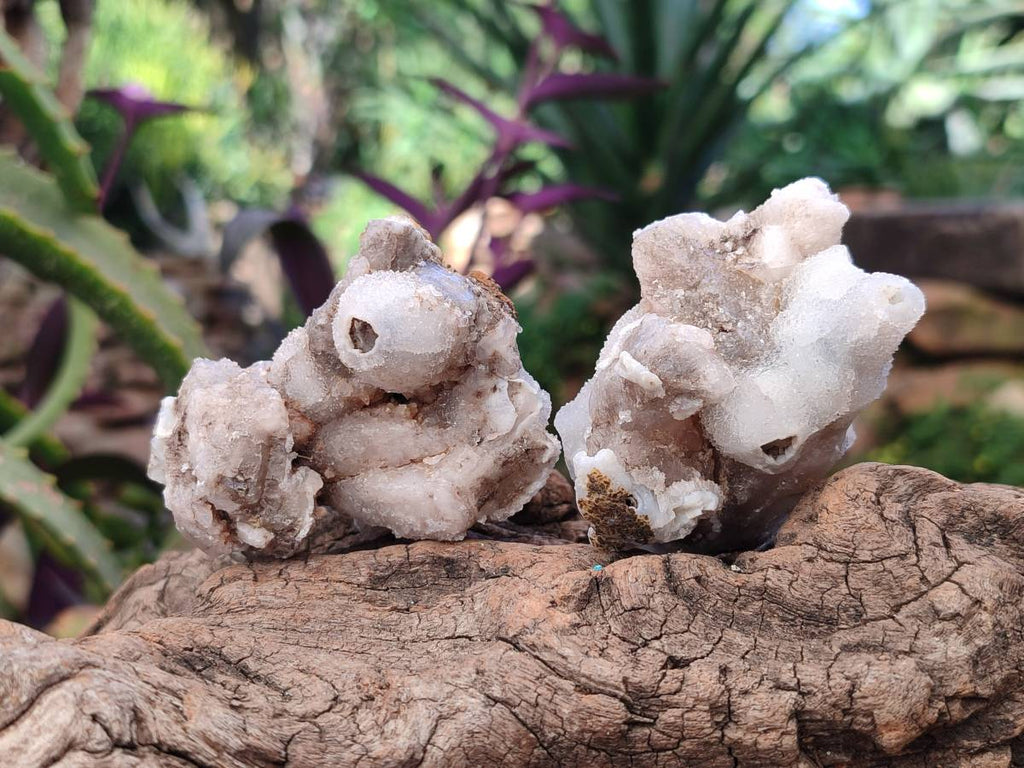 Natural Drusy Quartz Coated Calcite Pseudomorph Specimens x 12 From Alberts Mountain, Lesotho - Toprock Gemstones and Minerals 