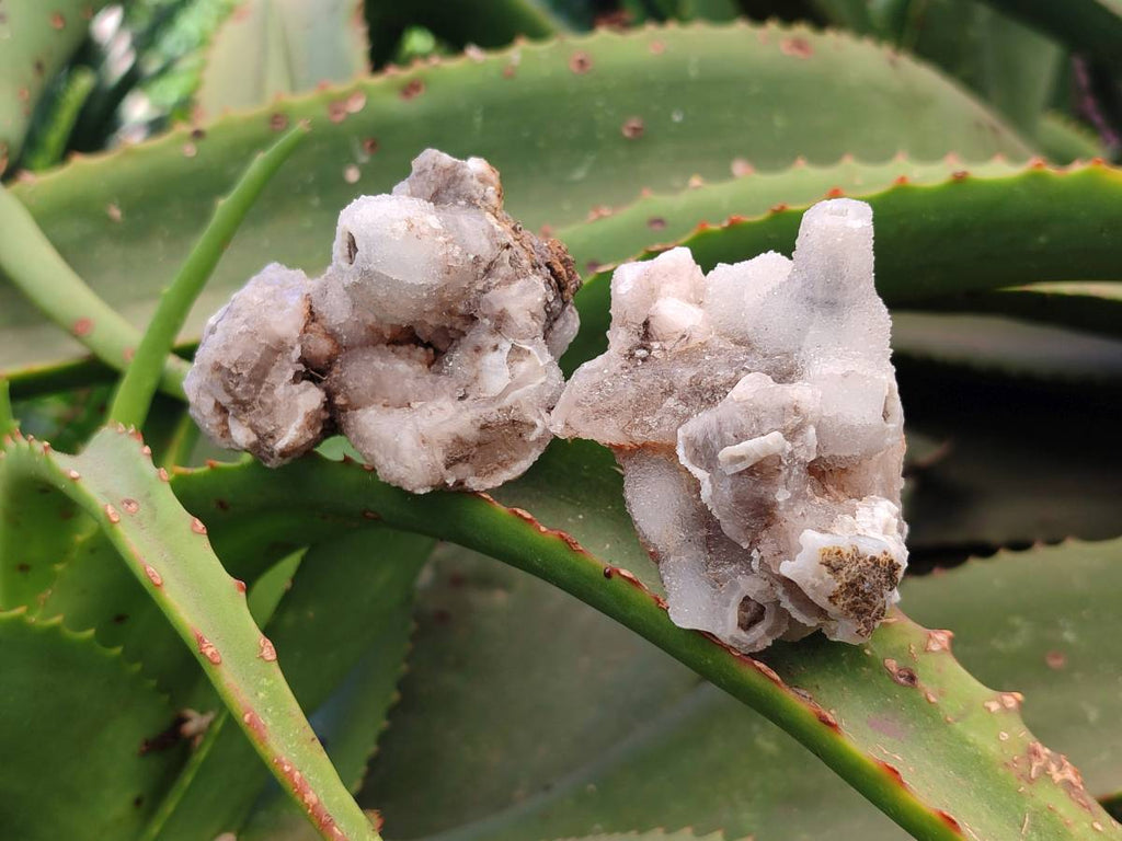 Natural Drusy Quartz Coated Calcite Pseudomorph Specimens x 12 From Alberts Mountain, Lesotho - Toprock Gemstones and Minerals 