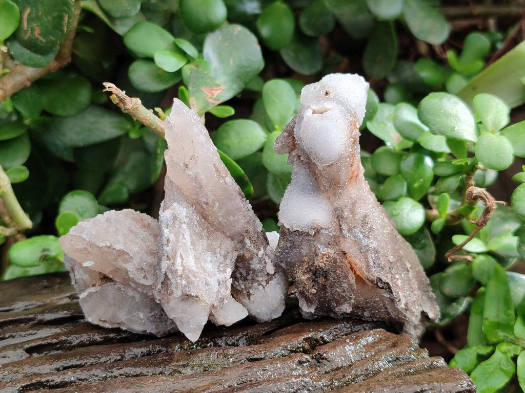 Natural Drusy Quartz Coated Calcite Pseudomorph Specimens x 12 From Alberts Mountain, Lesotho - Toprock Gemstones and Minerals 