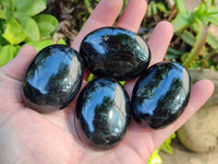 Polished Black Tourmaline Palm Stones x 12 From Madagascar - Toprock Gemstones and Minerals 