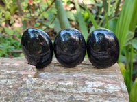 Polished Black Tourmaline Palm Stones x 12 From Madagascar - Toprock Gemstones and Minerals 