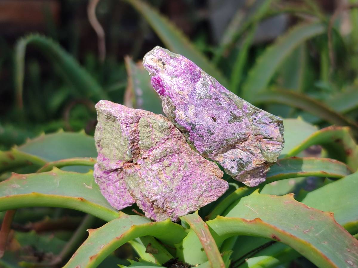 Natural Stichtite Cobbed Specimens x 3Kg Lot From Barberton, South Africa - Toprock Gemstones and Minerals 